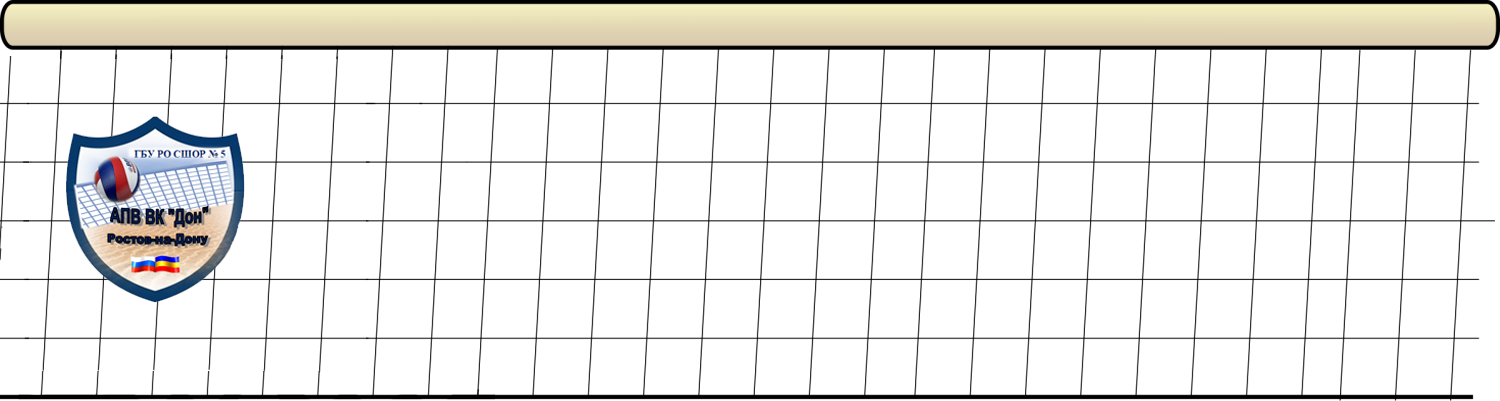 Волейбольный клуб "Дон"